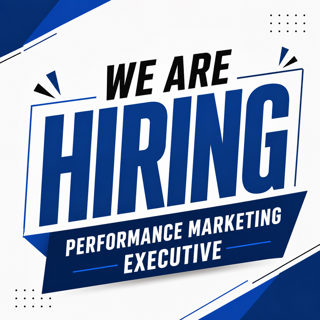 Performance Marketing Executive 